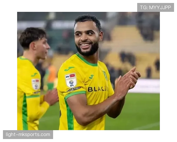 诺维奇战术调整成效显著,强势回归英冠争冠行列 诺维奇战术调整成效显著,强势回归英冠争冠行列