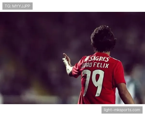 菲利克斯：从赛场新星到职业传奇的蜕变之路分析与回顾